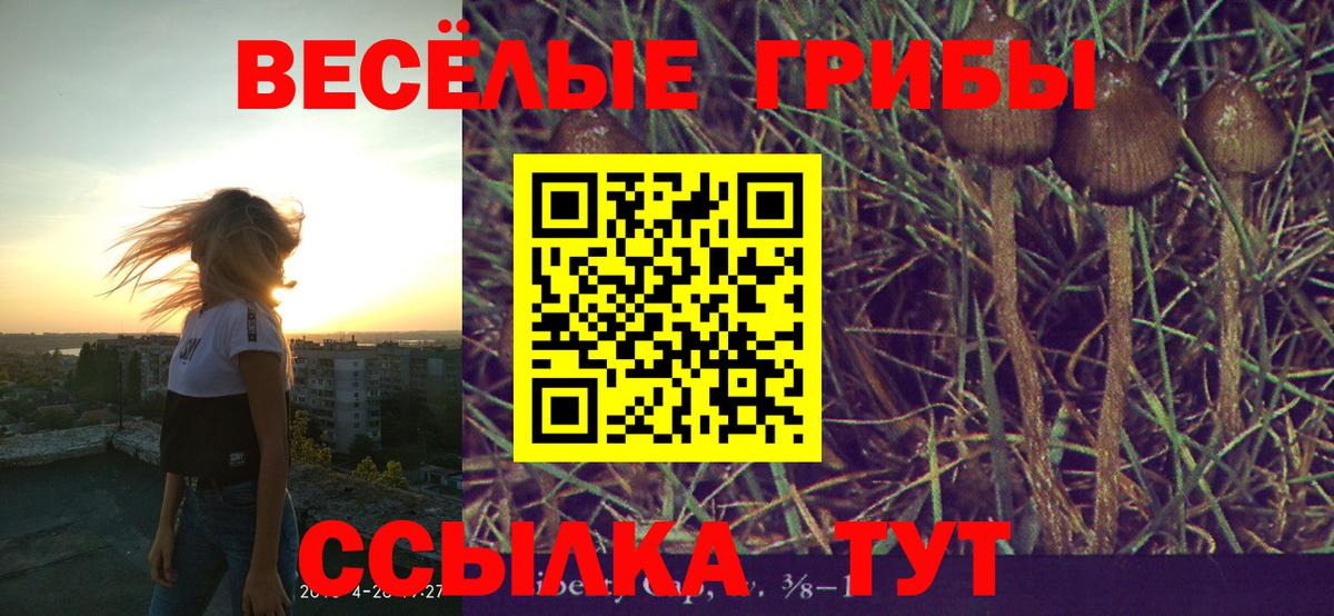 Кулебаки  Галлюциногенные грибы Psilocybe  Вход с VPN  Галлюциногенные грибы мухоморы 